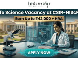 Latest Life Science Vacancy at CSIR-NIScPR | MSc Candidates Earn Upto ₹42,000/- Life Science Vacancy at CSIR-NIScPR Earn Up to ₹42,000 + HRA. A promotional job advertisement banner for a "Life Science Vacancy at CSIR-NIScPR." The central image features a female researcher in a lab coat and gloves at a sophisticated laboratory desk. She is using a micropipette with a futuristic, transparent data display. Foreground objects include a microscope, a multi-well plate, stacks of scientific journals, and a DNA helix model. Behind her are large windows showing a grand, classical-style campus building under a sunny sky, representing the institute. At the top center, the Biotecnika "Your Bio Resource" logo is visible. The text reads: "Life Science Vacancy at CSIR-NIScPR", with a prominent gold banner below highlighting: "Earn Up to ₹42,000 + HRA". A large, pulsing teal button at the bottom center says "APPLY NOW."