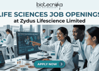 Life Sciences Job Openings at Zydus Lifescience Limited Walk-In Interview 2026. A promotional banner from Biotecnika, titled 'LIFE SCIENCES JOB OPENINGS at Zydus Lifescience Limited'. The image features a photo of three diverse and collaborative researchers in a modern laboratory. One woman in a lab coat is smiling and pointing to a computer monitor displaying 'SUCCESSFUL PHASE III RESULTS' and scientific data visualizations. Her colleagues look on with interest. Laboratory tools like pipettes, petri dishes with samples, vials, and a laptop are visible on the desk. At the bottom center, a prominent blue button reads 'APPLY NOW' with an arrow icon. The overall theme is successful, modern scientific collaboration.