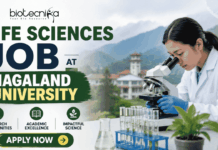 Life Sciences Job Opportunity at Nagaland University | Project Assistant Recruitment 2026 Life Sciences Job at Nagaland University Project Assistant. Featured banner for “Life Sciences Job at Nagaland University” showing the Biotecnika logo at the top, a scientist using a microscope in a modern laboratory, a scenic university campus and mountain backdrop, and a bold “Apply Now” button at the bottom.