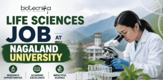 Life Sciences Job Opportunity at Nagaland University | Project Assistant Recruitment 2026 Life Sciences Job at Nagaland University Project Assistant. Featured banner for “Life Sciences Job at Nagaland University” showing the Biotecnika logo at the top, a scientist using a microscope in a modern laboratory, a scenic university campus and mountain backdrop, and a bold “Apply Now” button at the bottom.
