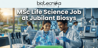 MSc Life Science Job Opening at Jubilant Biosys | Apply Online Today! MSc Life Science Job Opening at Jubilant Biosys Apply Online Today! A featured job recruitment banner with the text "MSc Life Science Job at Jubilant Biosys" positioned prominently below the Biotecnika logo. The central image is a photorealistic illustration of a diverse male and female scientist pair in lab coats collaborating in a modern, sunlit laboratory. They are interacting with a futuristic holographic screen that displays a complex 3D molecular structure, accompanied by smaller text details like "Target Protein-Ligand Affinity" and "Lead Compound Screen Results". One scientist holds a microplate with colorful well contents, and the other points at the holographic display. A large, green, prominent "APPLY NOW" button is at the bottom center. The lab background features advanced scientific equipment and a view of a park through a large window.