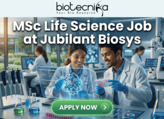 MSc Life Science Job Opening at Jubilant Biosys Apply Online Today! A featured job recruitment banner with the text "MSc Life Science Job at Jubilant Biosys" positioned prominently below the Biotecnika logo. The central image is a photorealistic illustration of a diverse male and female scientist pair in lab coats collaborating in a modern, sunlit laboratory. They are interacting with a futuristic holographic screen that displays a complex 3D molecular structure, accompanied by smaller text details like "Target Protein-Ligand Affinity" and "Lead Compound Screen Results". One scientist holds a microplate with colorful well contents, and the other points at the holographic display. A large, green, prominent "APPLY NOW" button is at the bottom center. The lab background features advanced scientific equipment and a view of a park through a large window.