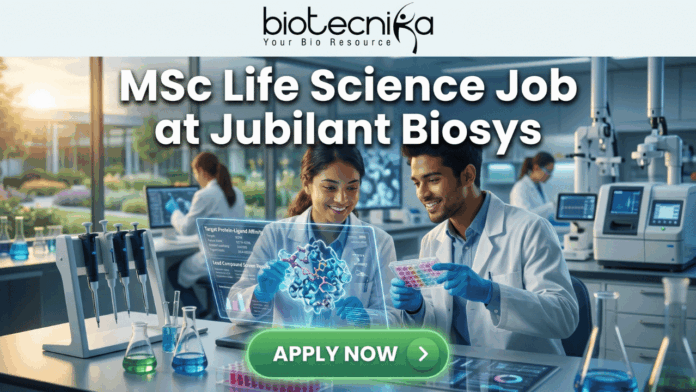MSc Life Science Job Opening at Jubilant Biosys Apply Online Today! MSc Life Science Job Opening at Jubilant Biosys Apply Online Today! A featured job recruitment banner with the text "MSc Life Science Job at Jubilant Biosys" positioned prominently below the Biotecnika logo. The central image is a photorealistic illustration of a diverse male and female scientist pair in lab coats collaborating in a modern, sunlit laboratory. They are interacting with a futuristic holographic screen that displays a complex 3D molecular structure, accompanied by smaller text details like "Target Protein-Ligand Affinity" and "Lead Compound Screen Results". One scientist holds a microplate with colorful well contents, and the other points at the holographic display. A large, green, prominent "APPLY NOW" button is at the bottom center. The lab background features advanced scientific equipment and a view of a park through a large window.