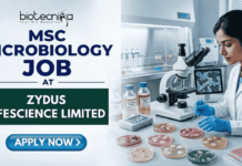MSc Microbiology Job at Zydus Lifescience Limited | Walk-in Interview MSc Microbiology Job at Zydus Lifescience Limited Walk-in. A professional job featured image with the Biotecnika logo at the top. Text reads "MSc Microbiology Job at Zydus Lifescience Limited" on the left. On the right, a female scientist in a white lab coat and blue gloves works with Petri dishes in a modern microbiology laboratory. A blue "Apply Now" button is at the bottom left.