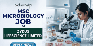 MSc Microbiology Job at Zydus Lifescience Limited | Walk-in Interview MSc Microbiology Job at Zydus Lifescience Limited Walk-in. A professional job featured image with the Biotecnika logo at the top. Text reads "MSc Microbiology Job at Zydus Lifescience Limited" on the left. On the right, a female scientist in a white lab coat and blue gloves works with Petri dishes in a modern microbiology laboratory. A blue "Apply Now" button is at the bottom left.