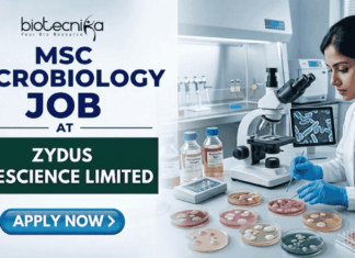 MSc Microbiology Job at Zydus Lifescience Limited | Walk-in Interview MSc Microbiology Job at Zydus Lifescience Limited Walk-in. A professional job featured image with the Biotecnika logo at the top. Text reads "MSc Microbiology Job at Zydus Lifescience Limited" on the left. On the right, a female scientist in a white lab coat and blue gloves works with Petri dishes in a modern microbiology laboratory. A blue "Apply Now" button is at the bottom left.
