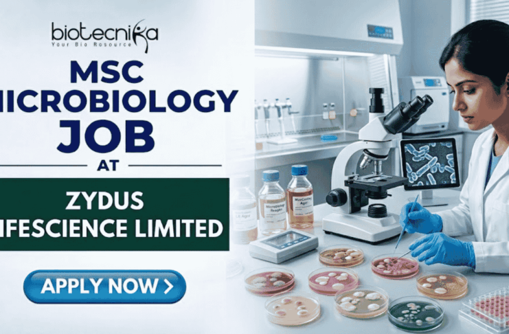 MSc Microbiology Job at Zydus Lifescience Limited | Walk-in Interview MSc Microbiology Job at Zydus Lifescience Limited Walk-in. A professional job featured image with the Biotecnika logo at the top. Text reads "MSc Microbiology Job at Zydus Lifescience Limited" on the left. On the right, a female scientist in a white lab coat and blue gloves works with Petri dishes in a modern microbiology laboratory. A blue "Apply Now" button is at the bottom left.