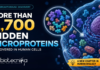 More Than 1,700 Hidden Microproteins Discovered in Human Cells More Than 1,700 Hidden Microproteins Discovered in Human Cells. Scientists have discovered more than 1,700 hidden dark proteins in human cells, revealing a new layer of the human genome with possible links to cancer and disease.