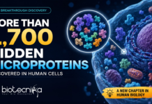 More Than 1,700 Hidden Microproteins Discovered in Human Cells. Scientists have discovered more than 1,700 hidden dark proteins in human cells, revealing a new layer of the human genome with possible links to cancer and disease.
