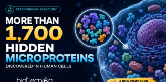 More Than 1,700 Hidden Microproteins Discovered in Human Cells More Than 1,700 Hidden Microproteins Discovered in Human Cells. Scientists have discovered more than 1,700 hidden dark proteins in human cells, revealing a new layer of the human genome with possible links to cancer and disease.