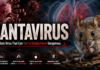 Hantavirus: The Rare Virus That Can Turn a Simple Fever Dangerous Hantavirus The Rare Virus That Can Turn a Simple Fever Dangerous. Dramatic medical awareness poster about hantavirus, featuring a close-up of a rodent on the right and a stylized red virus illustration on the left. In the background, semi-transparent human lungs are shown, emphasizing respiratory impact. Large bold title reads “HANTAVIRUS,” with a subtitle stating “The Rare Virus That Can Turn a Simple Fever Dangerous.” The design uses dark tones with red highlights to convey urgency and health risk, along with small icons and warning-style information at the bottom about rodent transmission and potential severe lung effects.