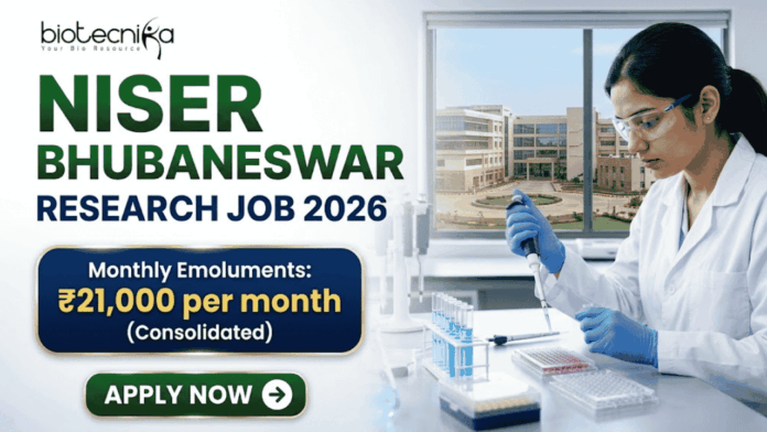 NISER Bhubaneswar Research Job 2026 – Life Sciences Graduates Can Apply NISER Bhubaneswar Research Job 2026 – Life Sciences Graduates Can Apply. A professional recruitment banner for "NISER Bhubaneswar Research Job 2026," featuring the Biotecnika logo at the top left. On the right, a female scientist in a white lab coat and blue gloves is precisely using a pipette on a multi-well plate in a bright, modern laboratory. The left side displays the bold headline "NISER BHUBANESWAR RESEARCH JOB 2026." Below the title, a prominent gold-framed blue box highlights the salary: "Monthly Emoluments: ₹21,000 per month (Consolidated)." The background through the lab window shows a realistic view of the NISER Bhubaneswar campus. A large green "Apply Now" button with a white arrow is positioned at the bottom left.