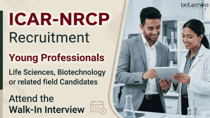 NRCP ICAR-NRCP Recruitment announced for Young Professional Jobs. Attend walk-in interview and build your Career in Life Sciences.