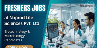 Microbiology & Biotechnology Freshers Jobs | Naprod Life Sciences | Attend the Walk-In Apply for Microbiology and Biotechnology Freshers Jobs at Naprod Life Sciences. Walk-In Interview Life Sciences Career Aspirants.
