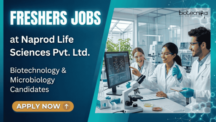 Apply for Microbiology and Biotechnology Freshers Jobs at Naprod Life Sciences. Walk-In Interview Life Sciences Career Aspirants.