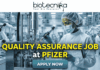 Quality Assurance Job at Pfizer BSc & MSc Biotech Candidates Apply Now. A promotional job banner with the Biotecnika logo at the top. Large yellow and white text reads: 'QUALITY ASSURANCE JOB at PFIZER'. The background is a photograph of a person in a full cleanroom suit and goggles, scanning equipment in a state-of-the-art pharmaceutical manufacturing lab. A turquoise 'APPLY NOW' button is at the bottom.