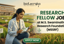 Research Fellow Jobs 2026 at MSSRF | Botany Graduates Apply Now! Research Fellow Job MSSRF | Botany Jobs India 2026. A job advertisement for 'RESEARCH FELLOW JOBS' at M.S. Swaminathan Research Foundation (MSSRF), in collaboration with biotecnika. The biotecnika logo is at the top. The image features a young woman scientist in a lab coat (with an MSSRF patch) kneeling in an experimental agricultural field (paddy field) and using a tablet that displays data graphs. The modern MSSRF facility, with its sign clearly visible, is in the background. The text 'RESEARCH FELLOW JOBS' is large and prominent. Small leaf and DNA icons are included. At the bottom, a green button reads 'APPLY NOW'.