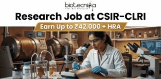 Research Job at CSIR-CLRI | Earn Up to ₹42,000 + HRA | Apply Before Deadline Research Job at CSIR-CLRI Earn Up to ₹42,000 + HRA. A promotional banner advertisement from Biotecnika, titled "Research Job at CSIR-CLRI", featuring a prominent gold banner with text that reads: "Earn Up to ₹42,000 + HRA". The main image shows a female scientist in a lab coat, safety glasses, and blue gloves, using a stereo microscope to analyze a textured material sample (likely a leather sample, given CLRI's focus). She is at a laboratory bench equipped with other microscopes, glass apparatus with samples, chemical bottles, and a computer monitor showing data. In the background are larger industrial lab machines. The Biotecnika "Your Bio Resource" logo is at the top center. At the bottom, a red button with white text reads: "APPLY NOW".