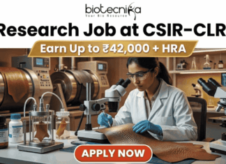 Research Job at CSIR-CLRI Earn Up to ₹42,000 + HRA. A promotional banner advertisement from Biotecnika, titled "Research Job at CSIR-CLRI", featuring a prominent gold banner with text that reads: "Earn Up to ₹42,000 + HRA". The main image shows a female scientist in a lab coat, safety glasses, and blue gloves, using a stereo microscope to analyze a textured material sample (likely a leather sample, given CLRI's focus). She is at a laboratory bench equipped with other microscopes, glass apparatus with samples, chemical bottles, and a computer monitor showing data. In the background are larger industrial lab machines. The Biotecnika "Your Bio Resource" logo is at the top center. At the bottom, a red button with white text reads: "APPLY NOW".