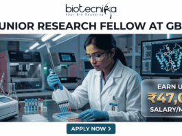 Research Job at Gujarat Biotechnology University with ₹47,000 Pay. A job advertisement banner featuring the Biotecnika logo and the headline 'JUNIOR RESEARCH FELLOW AT GBU'. The visual depicts a female scientist in a modern lab using a multi-channel pipette, surrounded by scientific equipment and a computer monitor showing a molecular structure. A prominent side panel highlights the salary as 'EARN UPTO ₹47,000 SALARY/MONTH'. At the bottom, a teal button says 'APPLY NOW >'.