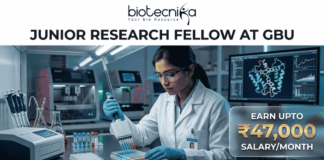 Research Jobs Alert: Gujarat Biotechnology University JRF Recruitment 2026 – Earn ₹47,000/Month Research Job at Gujarat Biotechnology University with ₹47,000 Pay. A job advertisement banner featuring the Biotecnika logo and the headline 'JUNIOR RESEARCH FELLOW AT GBU'. The visual depicts a female scientist in a modern lab using a multi-channel pipette, surrounded by scientific equipment and a computer monitor showing a molecular structure. A prominent side panel highlights the salary as 'EARN UPTO ₹47,000 SALARY/MONTH'. At the bottom, a teal button says 'APPLY NOW >'.