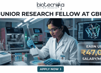 Research Jobs Alert: Gujarat Biotechnology University JRF Recruitment 2026 – Earn ₹47,000/Month Research Job at Gujarat Biotechnology University with ₹47,000 Pay. A job advertisement banner featuring the Biotecnika logo and the headline 'JUNIOR RESEARCH FELLOW AT GBU'. The visual depicts a female scientist in a modern lab using a multi-channel pipette, surrounded by scientific equipment and a computer monitor showing a molecular structure. A prominent side panel highlights the salary as 'EARN UPTO ₹47,000 SALARY/MONTH'. At the bottom, a teal button says 'APPLY NOW >'.