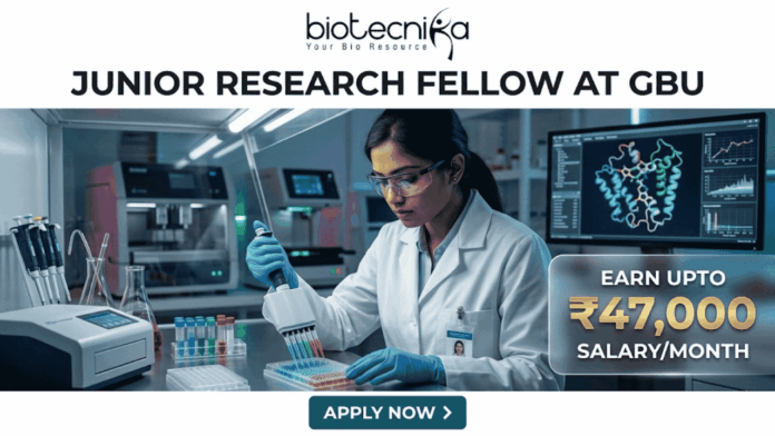 Research Job at Gujarat Biotechnology University with ₹47,000 Pay Research Job at Gujarat Biotechnology University with ₹47,000 Pay. A job advertisement banner featuring the Biotecnika logo and the headline 'JUNIOR RESEARCH FELLOW AT GBU'. The visual depicts a female scientist in a modern lab using a multi-channel pipette, surrounded by scientific equipment and a computer monitor showing a molecular structure. A prominent side panel highlights the salary as 'EARN UPTO ₹47,000 SALARY/MONTH'. At the bottom, a teal button says 'APPLY NOW >'.