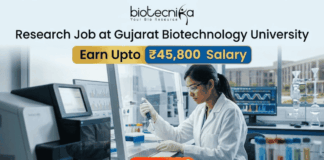 Research Job at Gujarat Biotechnology University | Earn Upto ₹45,800 Salary Research Job at Gujarat Biotechnology University ₹45,800 Salary. A promotional graphic for a Research Job at Gujarat Biotechnology University, featuring the 'biotecnika - Your Bio Resource' logo at the top. The main headline reads 'Research Job at Gujarat Biotechnology University' with prominent boxes below highlighting 'Earn Upto ₹45,800 Salary'. The background is a photograph of a female researcher in a white lab coat, gloves, and safety glasses, actively pipetting a multi-well plate within a modern, well-equipped genetics laboratory. Sophisticated sequencing equipment and monitors displaying DNA chromatograms and data are visible, along with a view of a university building through a window. A large, red 'APPLY NOW' button is at the bottom center with the text 'Click to view details'.