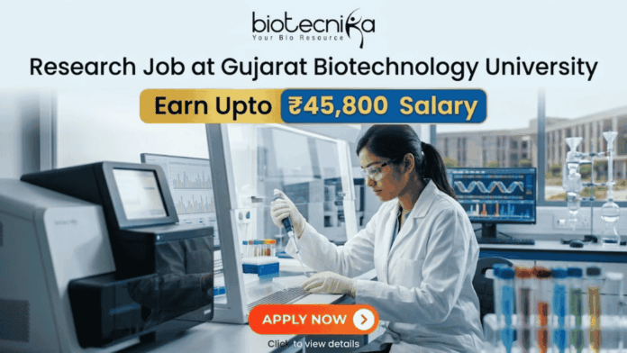 Research Job at Gujarat Biotechnology University ₹45,800 Salary Research Job at Gujarat Biotechnology University ₹45,800 Salary. A promotional graphic for a Research Job at Gujarat Biotechnology University, featuring the 'biotecnika - Your Bio Resource' logo at the top. The main headline reads 'Research Job at Gujarat Biotechnology University' with prominent boxes below highlighting 'Earn Upto ₹45,800 Salary'. The background is a photograph of a female researcher in a white lab coat, gloves, and safety glasses, actively pipetting a multi-well plate within a modern, well-equipped genetics laboratory. Sophisticated sequencing equipment and monitors displaying DNA chromatograms and data are visible, along with a view of a university building through a window. A large, red 'APPLY NOW' button is at the bottom center with the text 'Click to view details'.