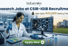 Exciting Research Jobs at CSIR-IGIB | Get Upto ₹42,000 Salary/ Month Research Jobs at CSIR-IGIB Recruitment Get Upto ₹42,000 Salary Month. A promotional banner for research jobs at CSIR-IGIB. At the top, the Biotecnika logo and the headline "Research Jobs at CSIR-IGIB Recruitment" are shown. Below, the salary details "Get Upto ₹42,000 Salary/ Month" are highlighted. The central image shows a female scientist in a lab working with a pipette, next to a monitor displaying a 3D molecular protein structure. Through a window, a modern CSIR-IGIB campus building is visible. A green "Apply Now" button is at the bottom.