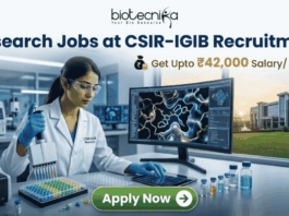 Research Jobs at CSIR-IGIB Recruitment Get Upto ₹42,000 Salary Month. A promotional banner for research jobs at CSIR-IGIB. At the top, the Biotecnika logo and the headline "Research Jobs at CSIR-IGIB Recruitment" are shown. Below, the salary details "Get Upto ₹42,000 Salary/ Month" are highlighted. The central image shows a female scientist in a lab working with a pipette, next to a monitor displaying a 3D molecular protein structure. Through a window, a modern CSIR-IGIB campus building is visible. A green "Apply Now" button is at the bottom.
