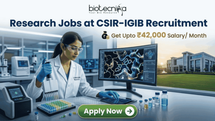 Research Jobs at CSIR-IGIB Recruitment Get Upto ₹42,000 Salary Month Research Jobs at CSIR-IGIB Recruitment Get Upto ₹42,000 Salary Month. A promotional banner for research jobs at CSIR-IGIB. At the top, the Biotecnika logo and the headline "Research Jobs at CSIR-IGIB Recruitment" are shown. Below, the salary details "Get Upto ₹42,000 Salary/ Month" are highlighted. The central image shows a female scientist in a lab working with a pipette, next to a monitor displaying a 3D molecular protein structure. Through a window, a modern CSIR-IGIB campus building is visible. A green "Apply Now" button is at the bottom.