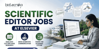 Scientific Editor Jobs at Elsevier | PhD Candidates Apply Now! A professional featured image for "Scientific Editor Jobs at Elsevier" featuring the Biotecnika logo at the top left. On the right, a woman in a grey business blazer is seated at a desk, focused on a computer screen showing an edited research manuscript. The left side displays the bold headline "SCIENTIFIC EDITOR JOBS AT ELSEVIER" along with three icons representing research evaluation, scientific communication, and shaping the academic future. The background includes floating scientific diagrams and a scenic coastal building view, with a prominent "Apply Now" button at the bottom.