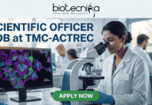 Scientific Officer Job at TMC-ACTREC | Earn Upto ₹40,000 Salary Scientific Officer Job at TMC-ACTREC. A job advertisement banner from biotecnika. At the top, the "biotecnika Your Bio Resource" logo with a stylized figure is displayed above the text 'SCIENTIFIC OFFICER JOB at TMC-ACTREC'. The main image shows a female scientist of South Asian appearance in a lab coat, looking through a complex multi-headed microscope. To her left, a computer monitor displays a vibrant, multi-colored confocal micrograph of stained cells with a scale bar, showcasing high-resolution cell imaging. Other researchers are working at distant lab benches in the background. Below the monitor, a text line reads, 'Explore groundbreaking oncology research in a world-class institute.' At the bottom center is a green 'APPLY NOW' button. The overall setting is a modern biological laboratory with various glass labware and equipment.