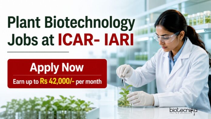 Plant Biotechnology Jobs at ICAR- IARI | Candidates Apply Now Plant Biotechnology Jobs at ICAR- IARI | Candidates Apply Now