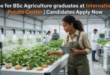 Research Assistant Jobs at International Potato Center | Agricultural Science Role | Apply Now Jobs for BSc Agriculture graduates at CIP | Candidates Apply Now