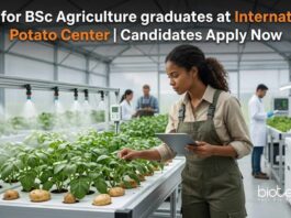 Jobs for BSc Agriculture graduates at CIP | Candidates Apply Now