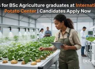 Research Assistant Jobs at International Potato Center | Agricultural Science Role | Apply Now Jobs for BSc Agriculture graduates at CIP | Candidates Apply Now