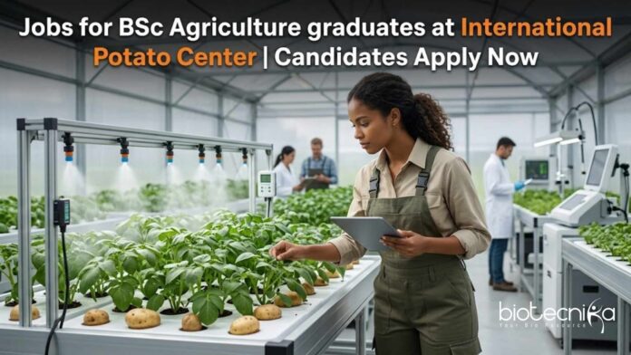 Jobs for BSc Agriculture graduates at CIP | Candidates Apply Now Jobs for BSc Agriculture graduates at CIP | Candidates Apply Now