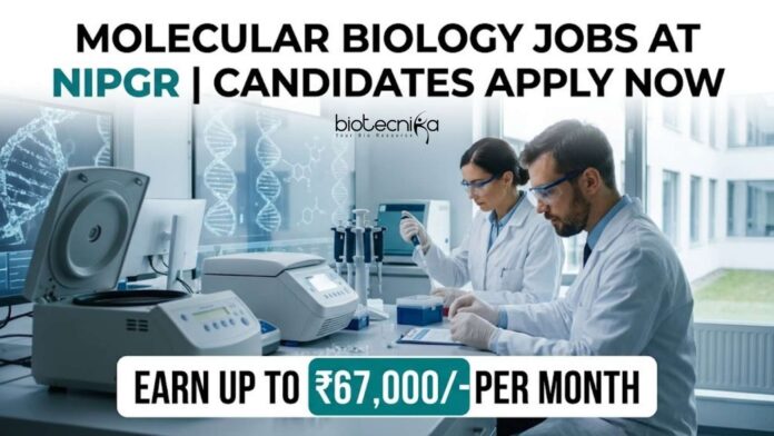 Molecular Biology Jobs at NIPGR | Candidates Apply Now Molecular Biology Jobs at NIPGR | Candidates Apply Now