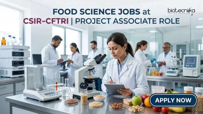 Food Science Jobs at CSIR-CFTRI | Project Associate Role | Apply Food Science Jobs at CSIR-CFTRI | Project Associate Role | Apply