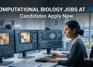 Computational Biology Jobs at Zifo Careers – Bioinformatics Scientist Role Computational Biology Jobs at Zifo | Candidates Apply Now