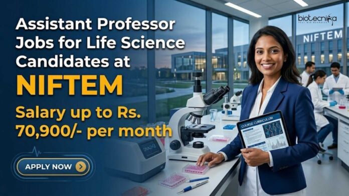 Assistant Professor Jobs for Life Science Candidates at NIFTEM Assistant Professor Jobs for Life Science Candidates at NIFTEM