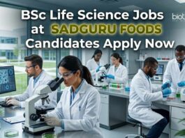 BSc Life Science Jobs at Sadguru Foods: Candidates Apply Now
