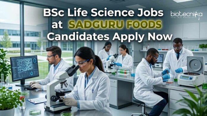 BSc Life Science Jobs at Sadguru Foods: Candidates Apply Now BSc Life Science Jobs at Sadguru Foods: Candidates Apply Now