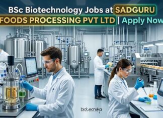 BSc Biotechnology Jobs at Sadguru Foods Processing Pvt Ltd