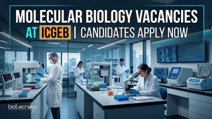 Molecular Biology Vacancies at ICGEB | Candidates Apply Now