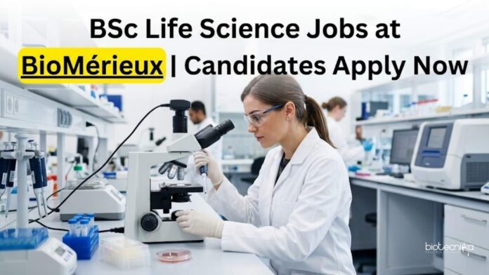 BSc Life Science Jobs at BioMérieux | Candidates Apply Now BSc Life Science Jobs at BioMérieux | Candidates Apply Now