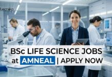 Amneal Careers 2026: Executive Packing | BSc Life Science Jobs BSc Life Science Jobs at Amneal | Candidates Apply Now