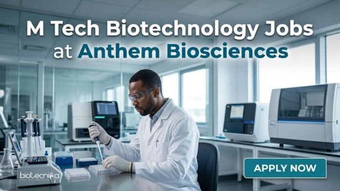 M Tech Biotechnology Jobs at Anthem Biosciences | Apply Now M Tech Biotechnology Jobs at Anthem Biosciences | Apply Now